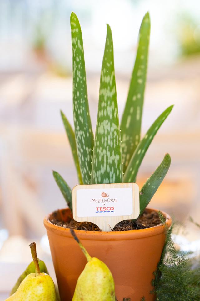 PWR PR — My Little Coco X Tesco (image 11)